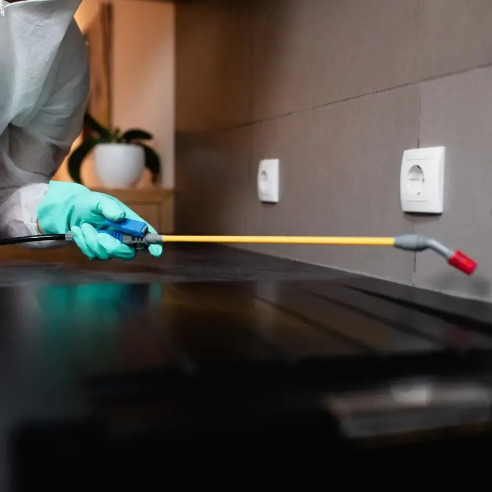 general pest control, pest control services, pest control in apartments, pest control and removal