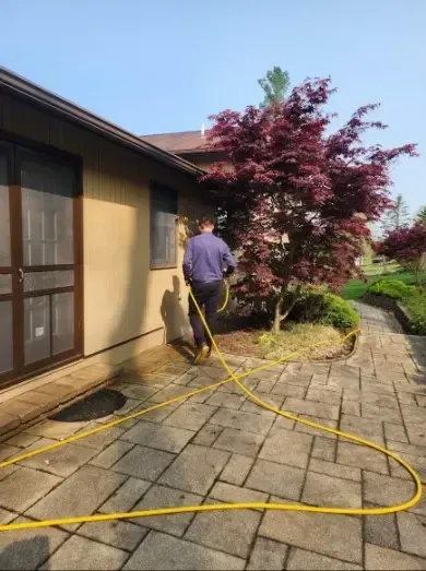 general pest control, pest control services, pest control in apartments, pest control and removal