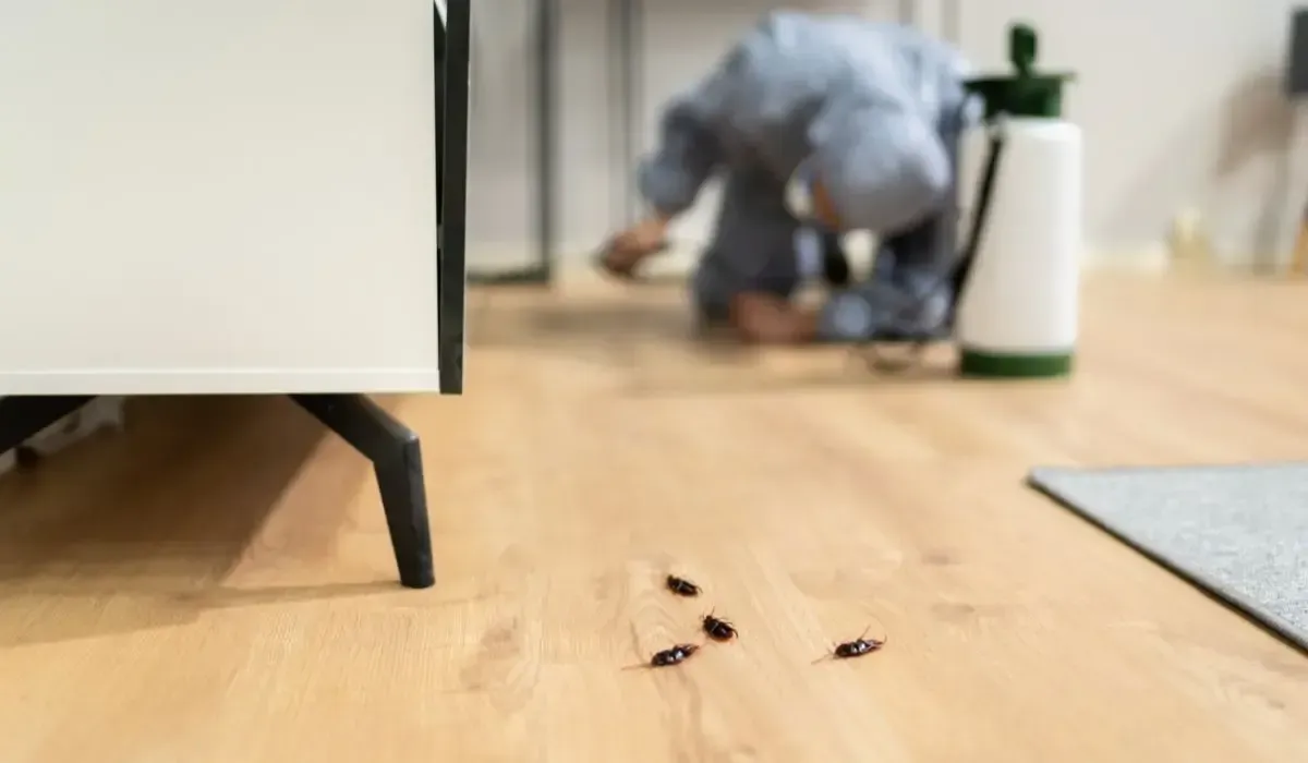 general pest control, pest control services, pest control in apartments, pest control and removal