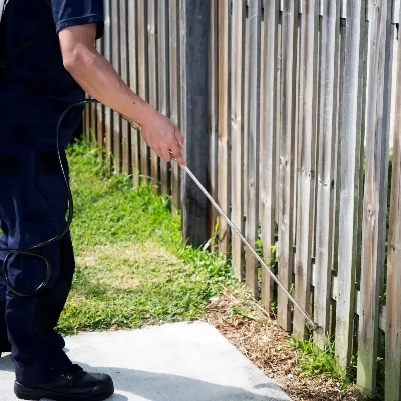 general pest control, pest control services, pest control in apartments, pest control and removal