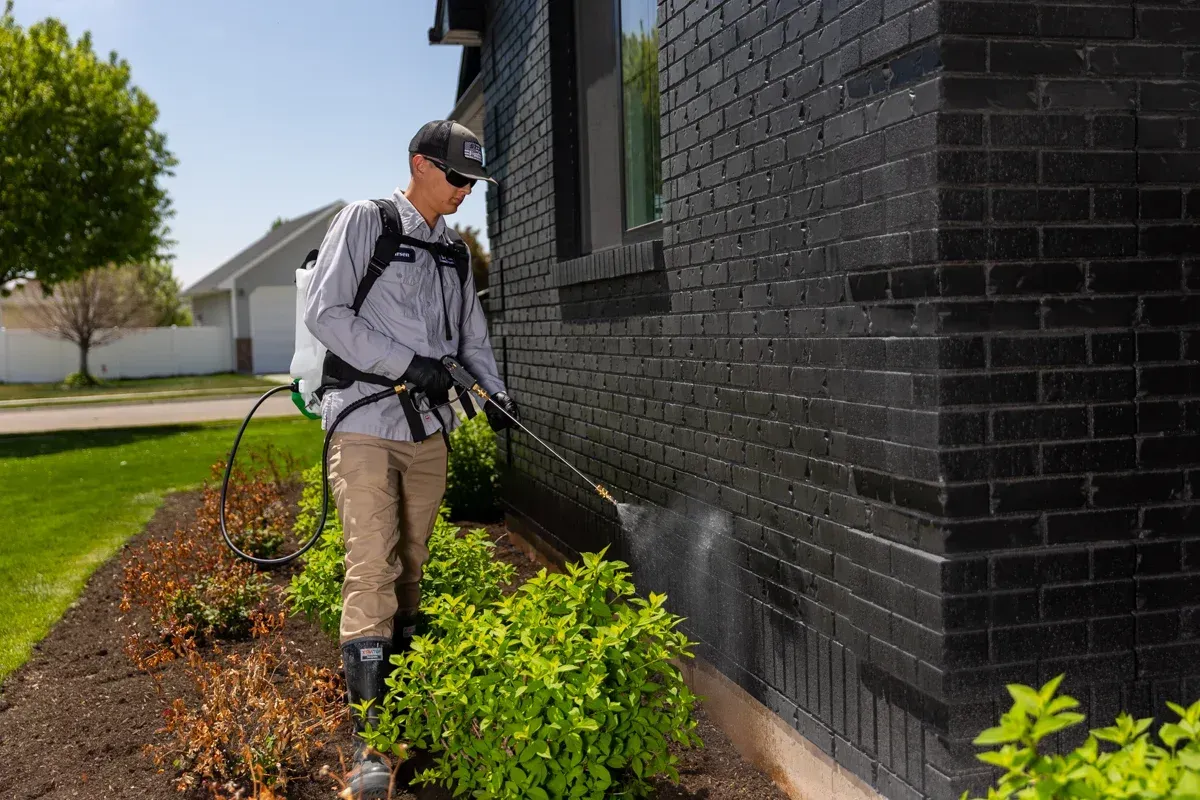 general pest control, pest control services, pest control in apartments, pest control and removal