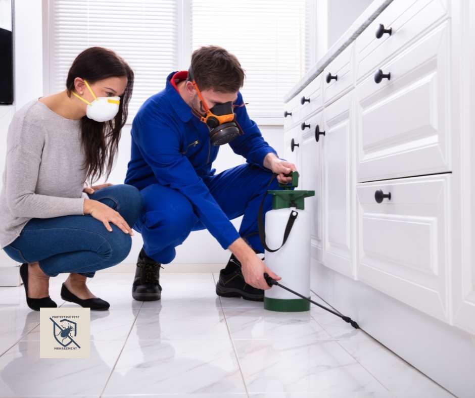 general pest control, pest control services, pest control in apartments, pest control and removal