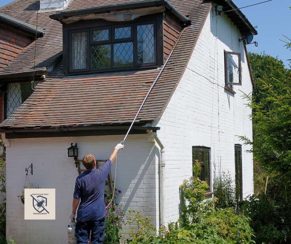 general pest control, pest control services, pest control in apartments, pest control and removal