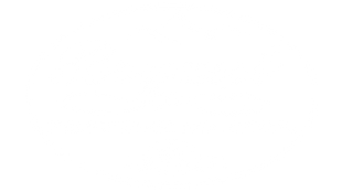 logo-image