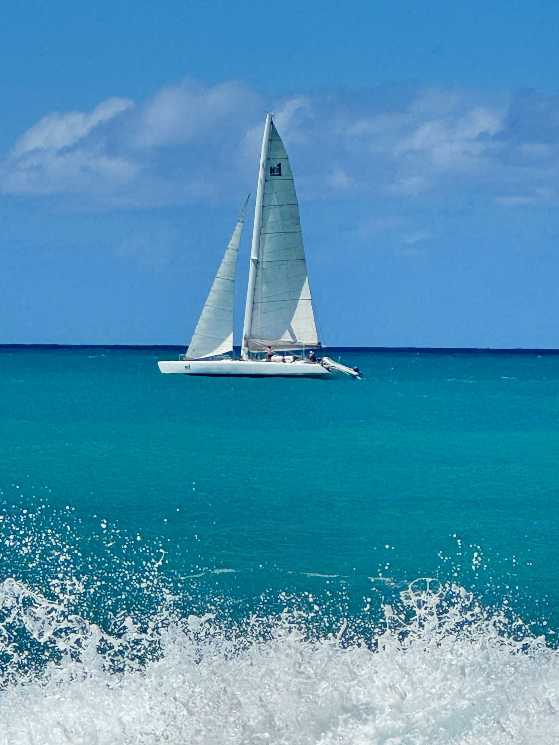 No1Sxm day sail full sails