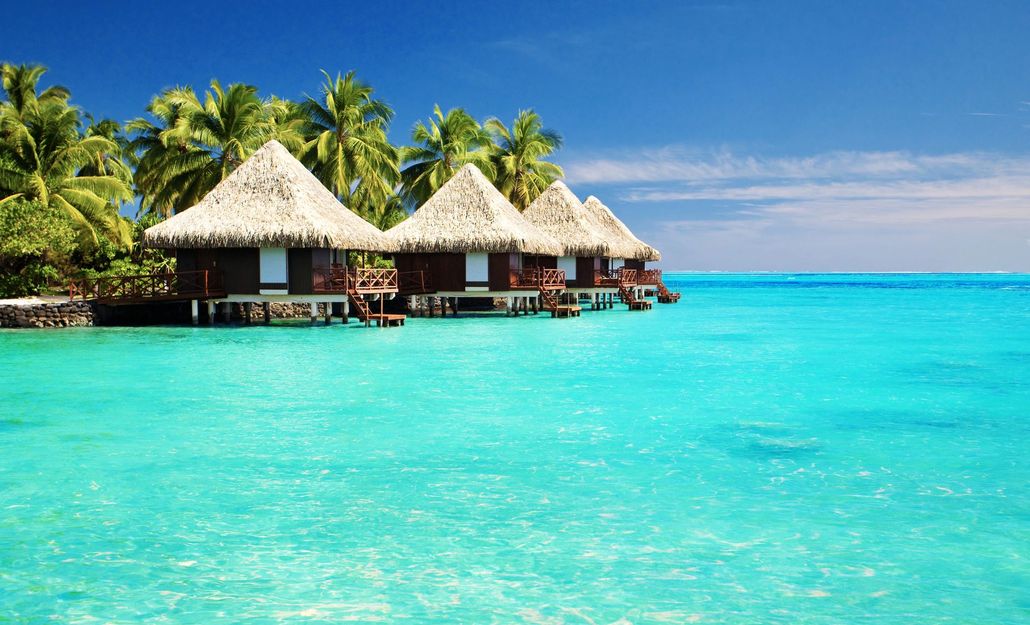 About Footman Travel Agency LLC in Columbia, SC About Footman Travel Agency LLC in Columbia, SC