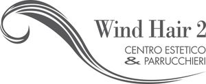 WIND HAIR 2 - LOGO