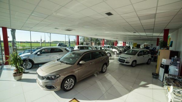 concessionaria auto