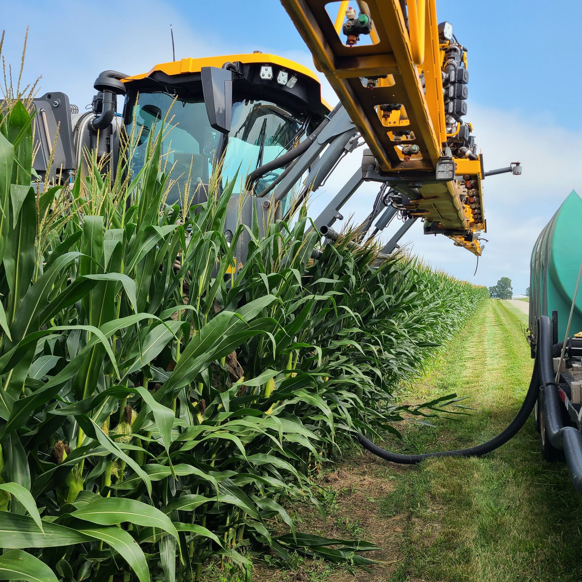 A yellow self-propelled sprayer with a large boom working in a green corn field on a bright day.