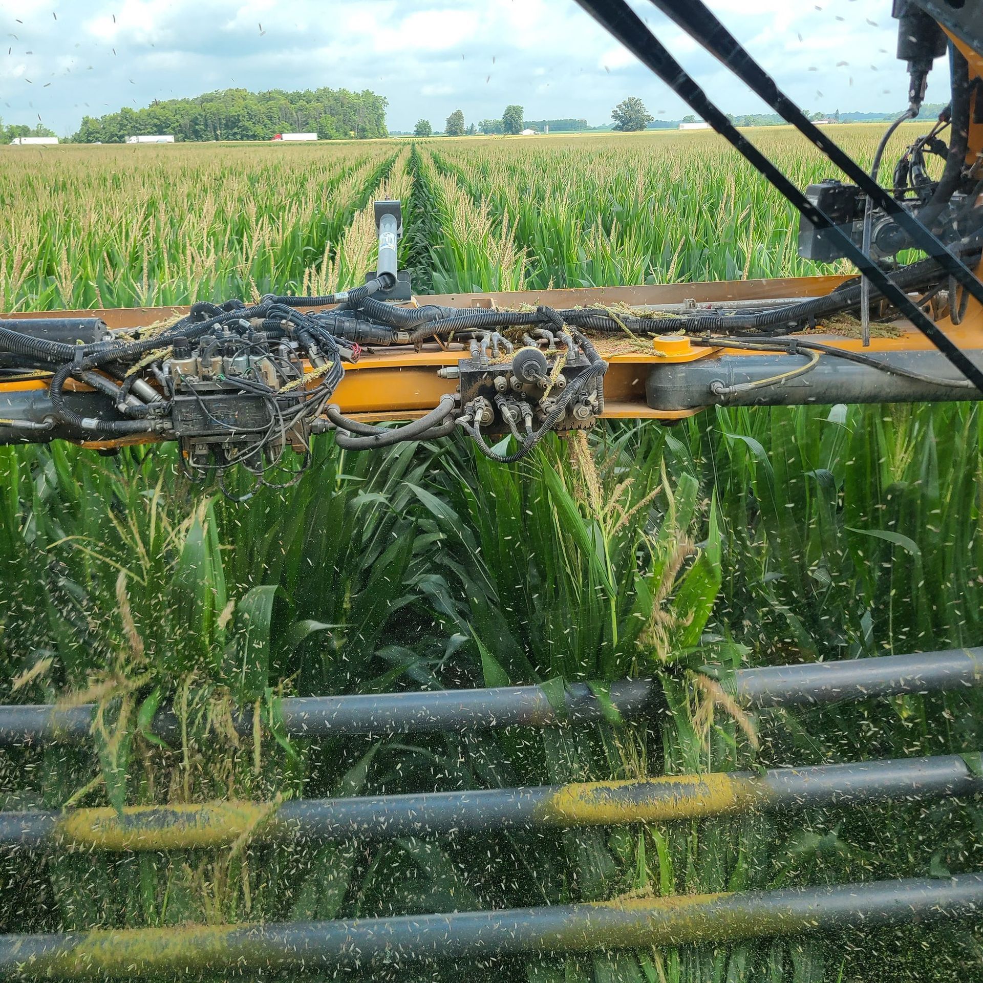 A mechanical sprayer applies liquid over a field of tall corn, with mist visible against the equipment's steel booms.