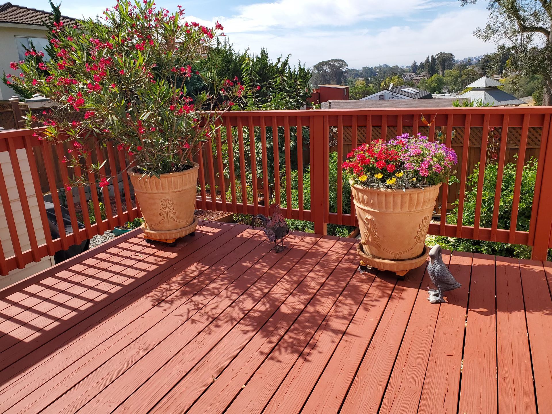 planted flowers