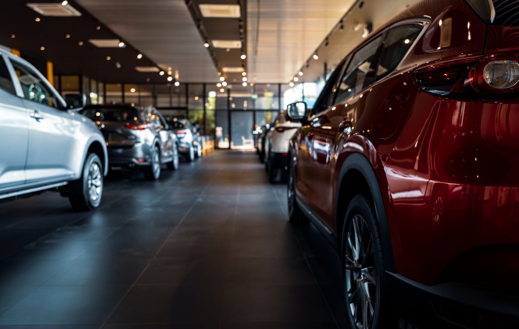 Cars lined up inside a modern showroom, including a red SUV in the foreground.