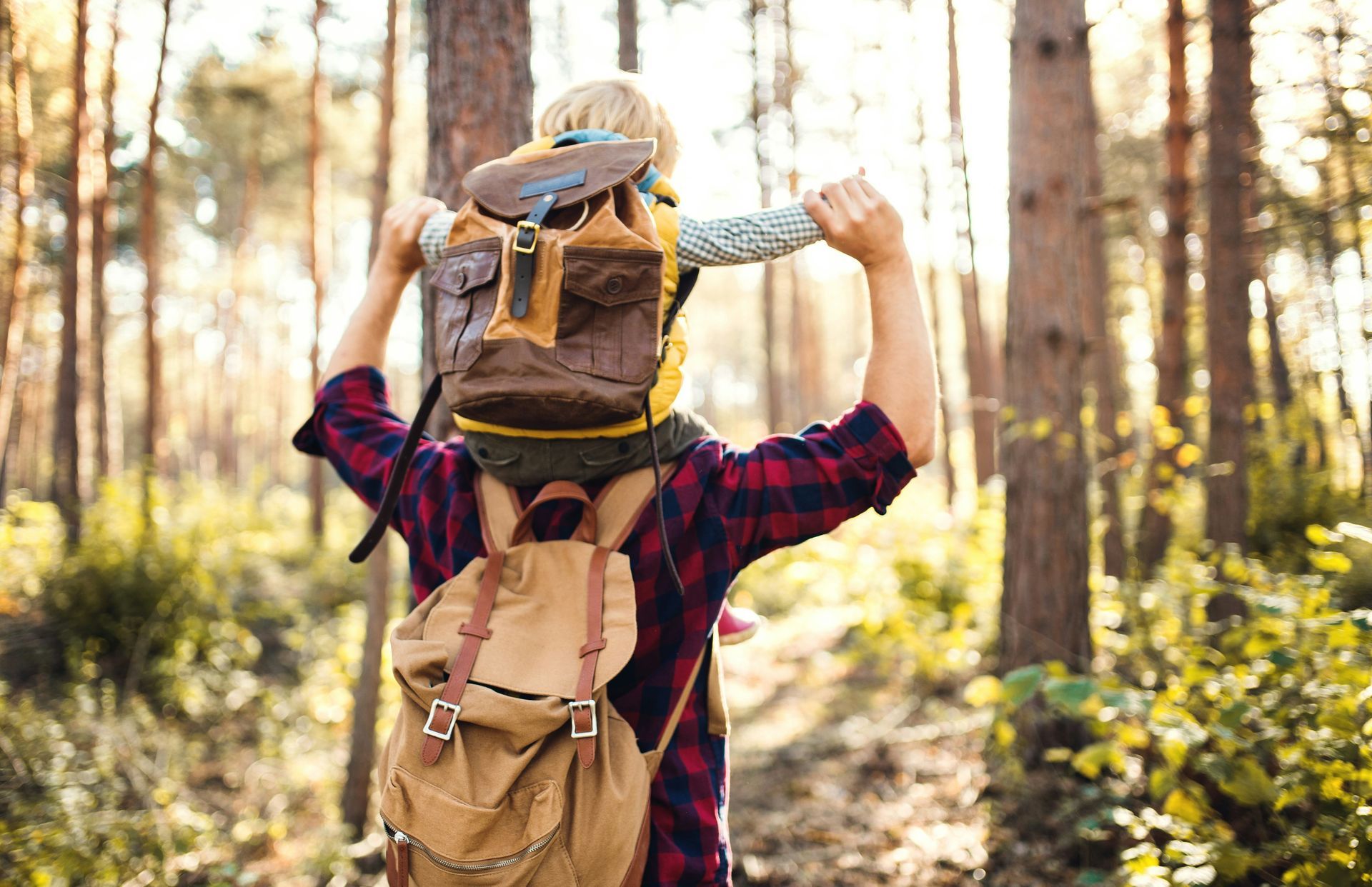 Hiker carrying a child on shoulders along a sunlit forest trail, both wearing backpacks