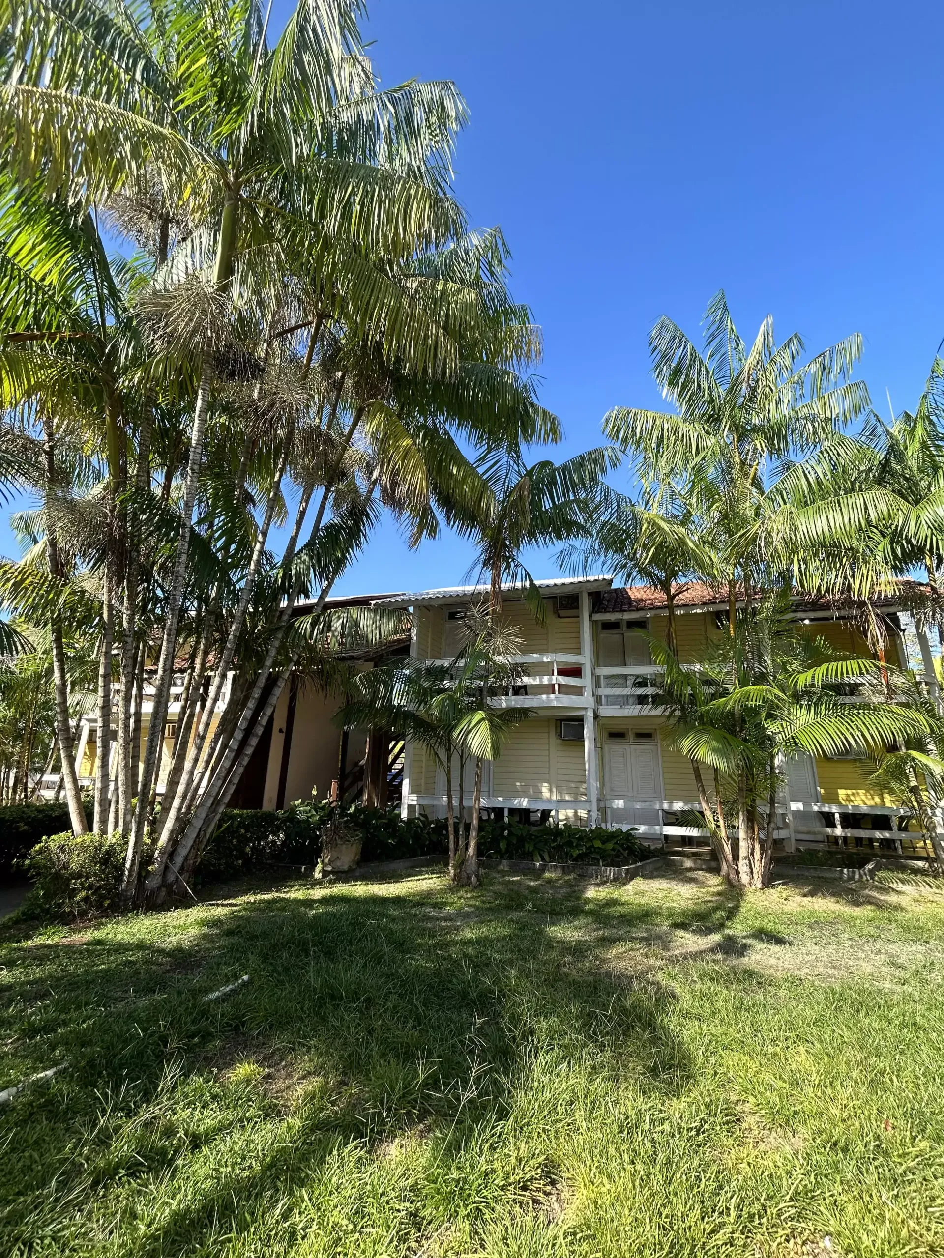 Uma casa amarela no meio de uma floresta verdejante-go-organic-club