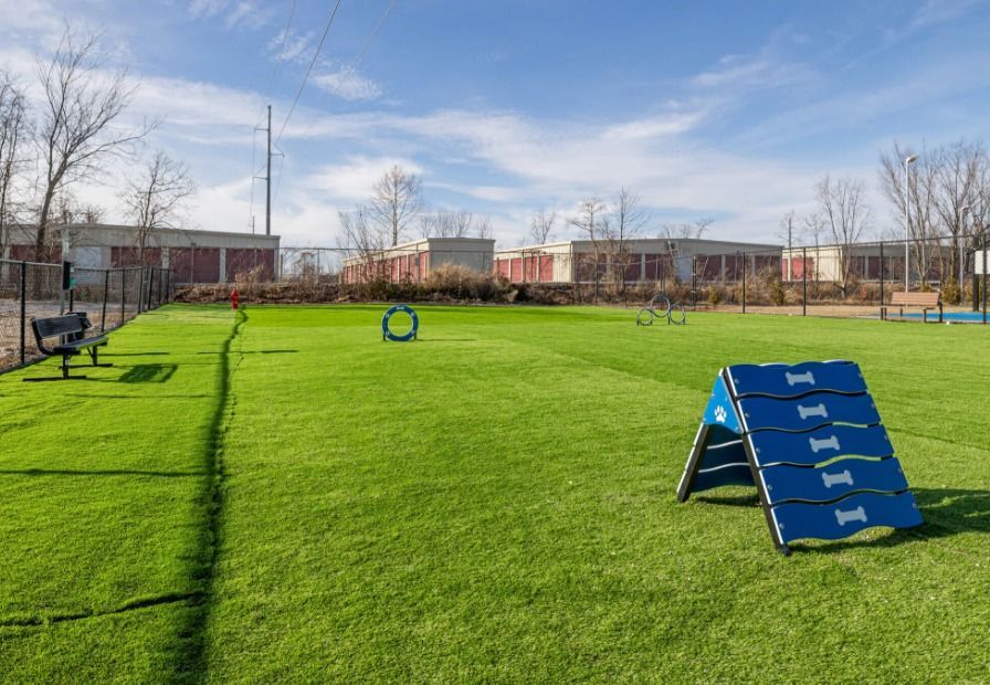giant pet park with green grass a bench, and pet obstacles. 