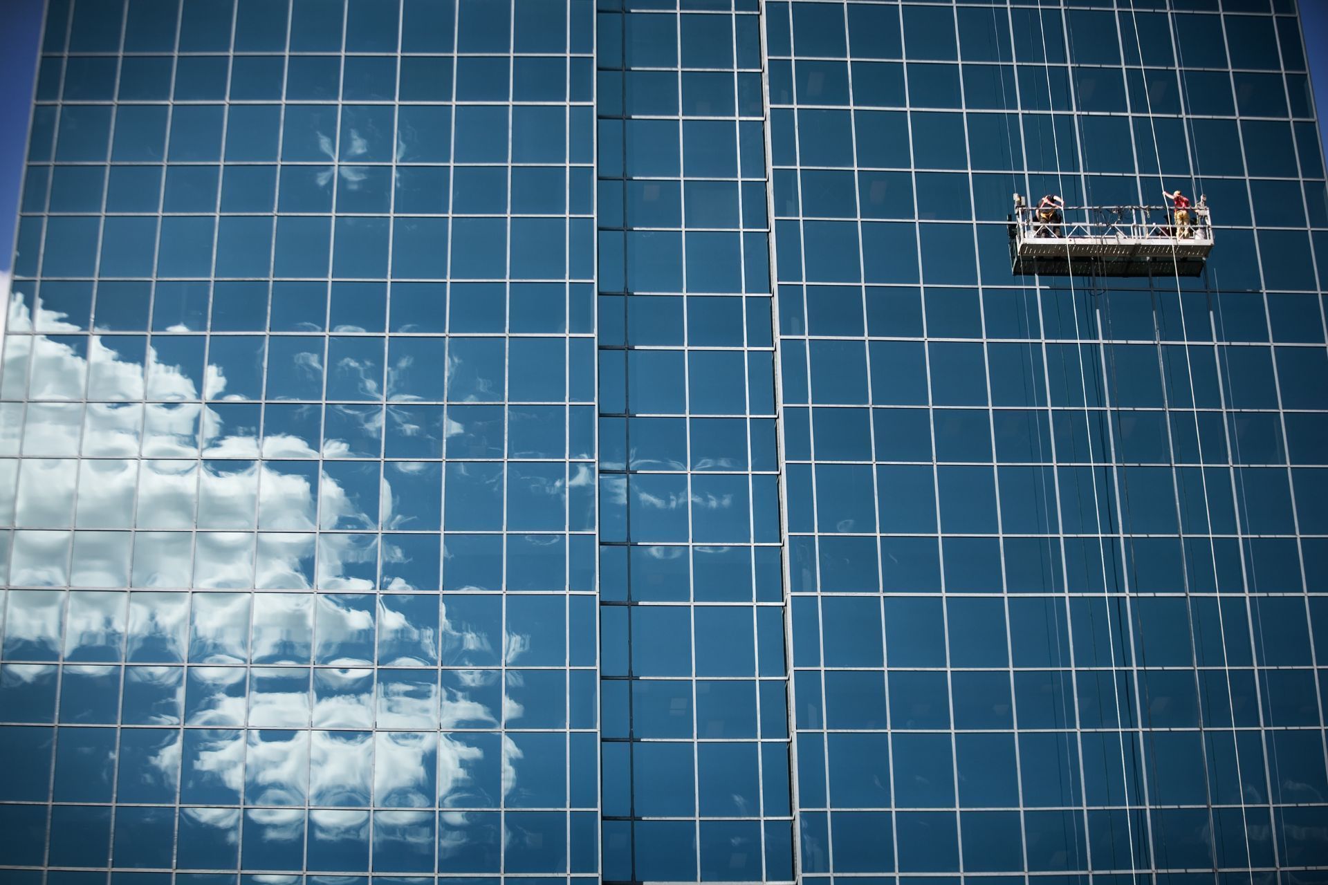 A group of people are cleaning the windows of a tall building.