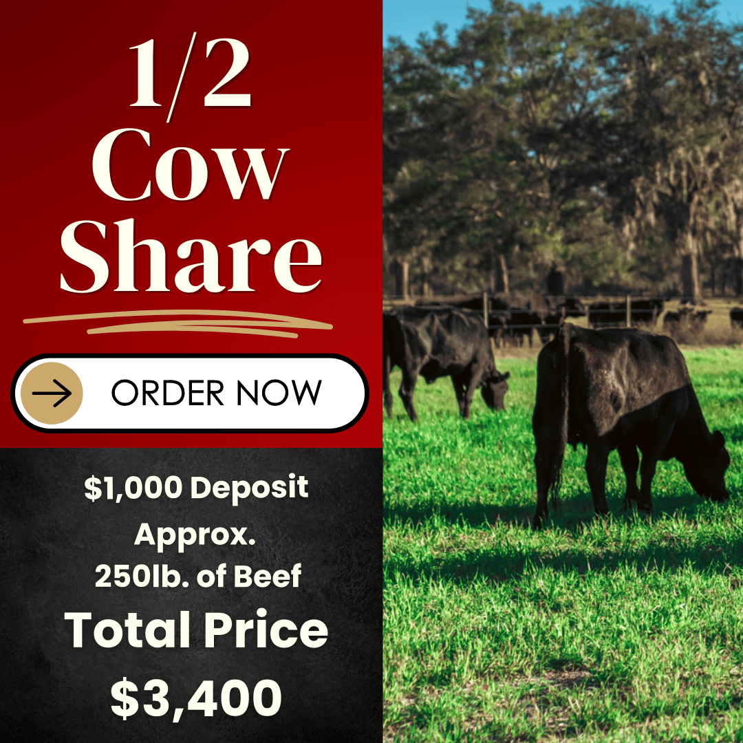 1/2 American Wagyu Cow Share