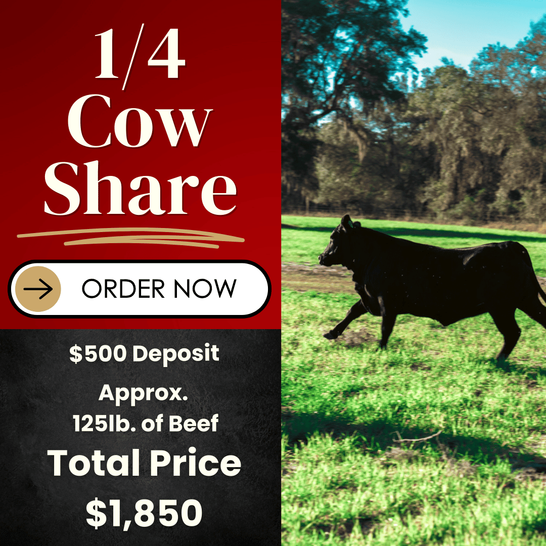 1/4 American Wagyu Cow Share