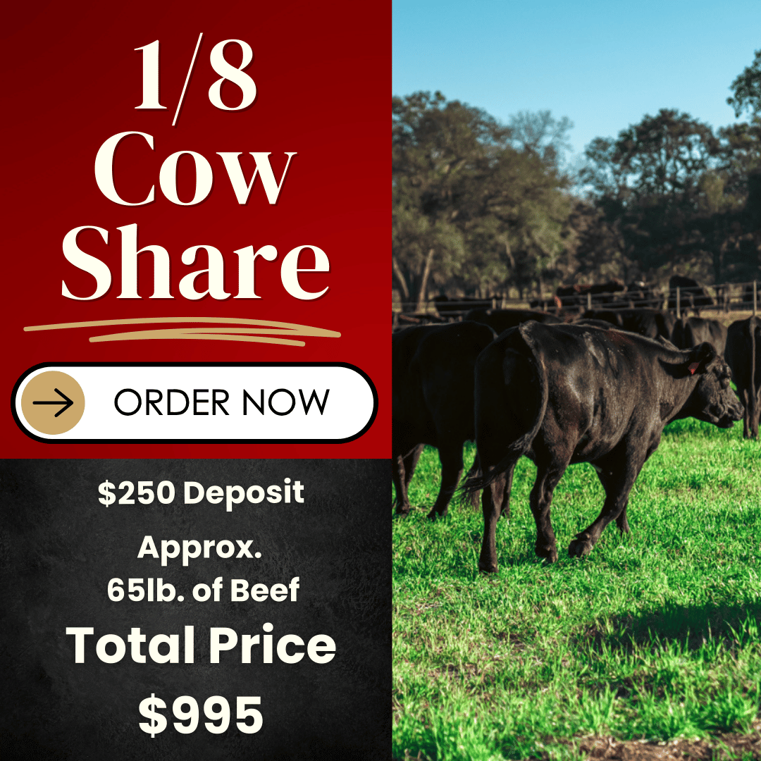 1/8 American Wagyu Cow Share