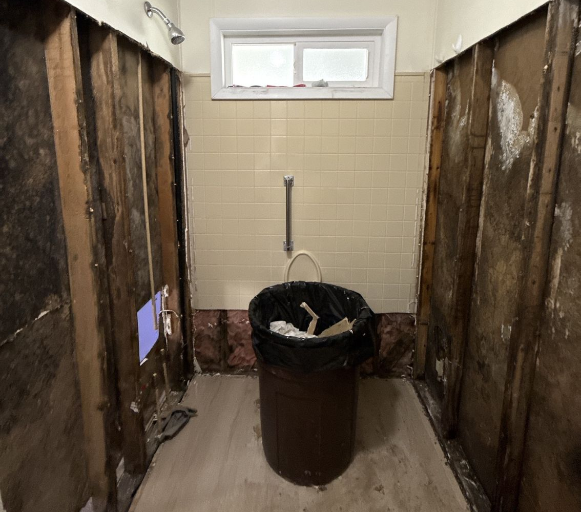 Mold Remediation Chemicals and Scraper Tool — Southwest, FL — ProRemedy SWFL Mold Remediation Chemicals and Scraper Tool — Southwest, FL — ProRemedy SWFL