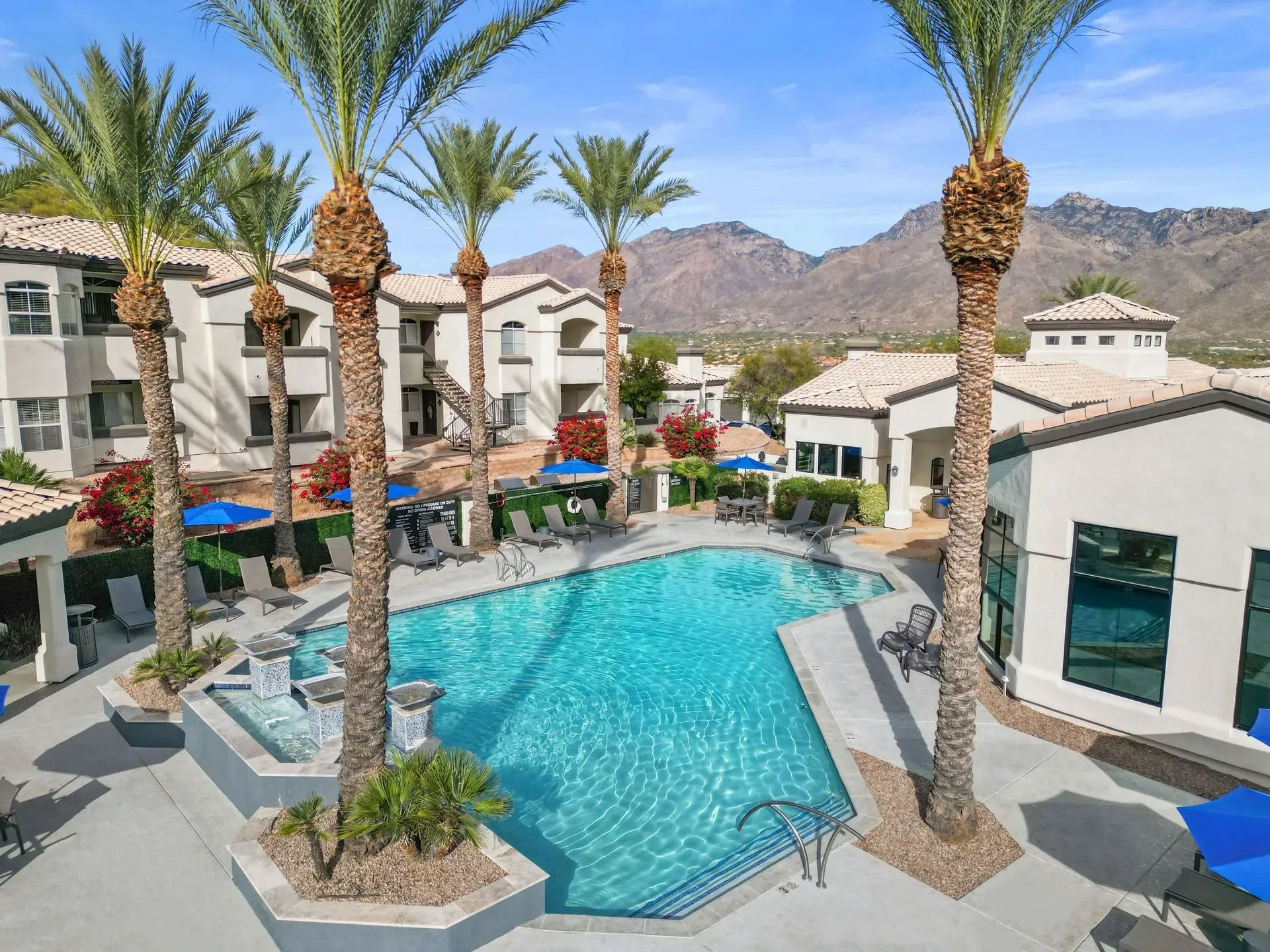Resort-style swimming pool and lounge area surrounded by palm trees and apartment buildings with mountains in the background at Pinnacle Heights in Tucson, AZ.