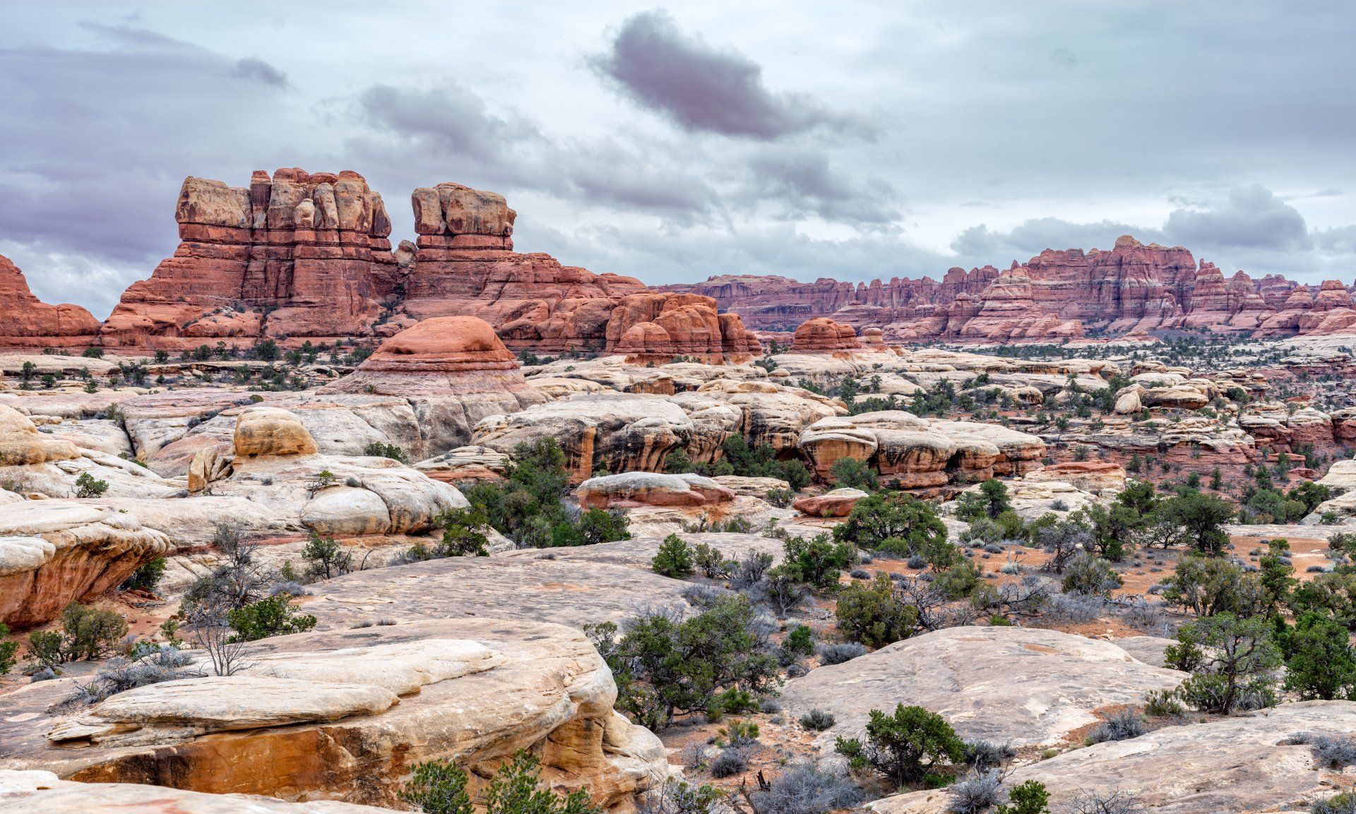 Utah Rocks in the desert