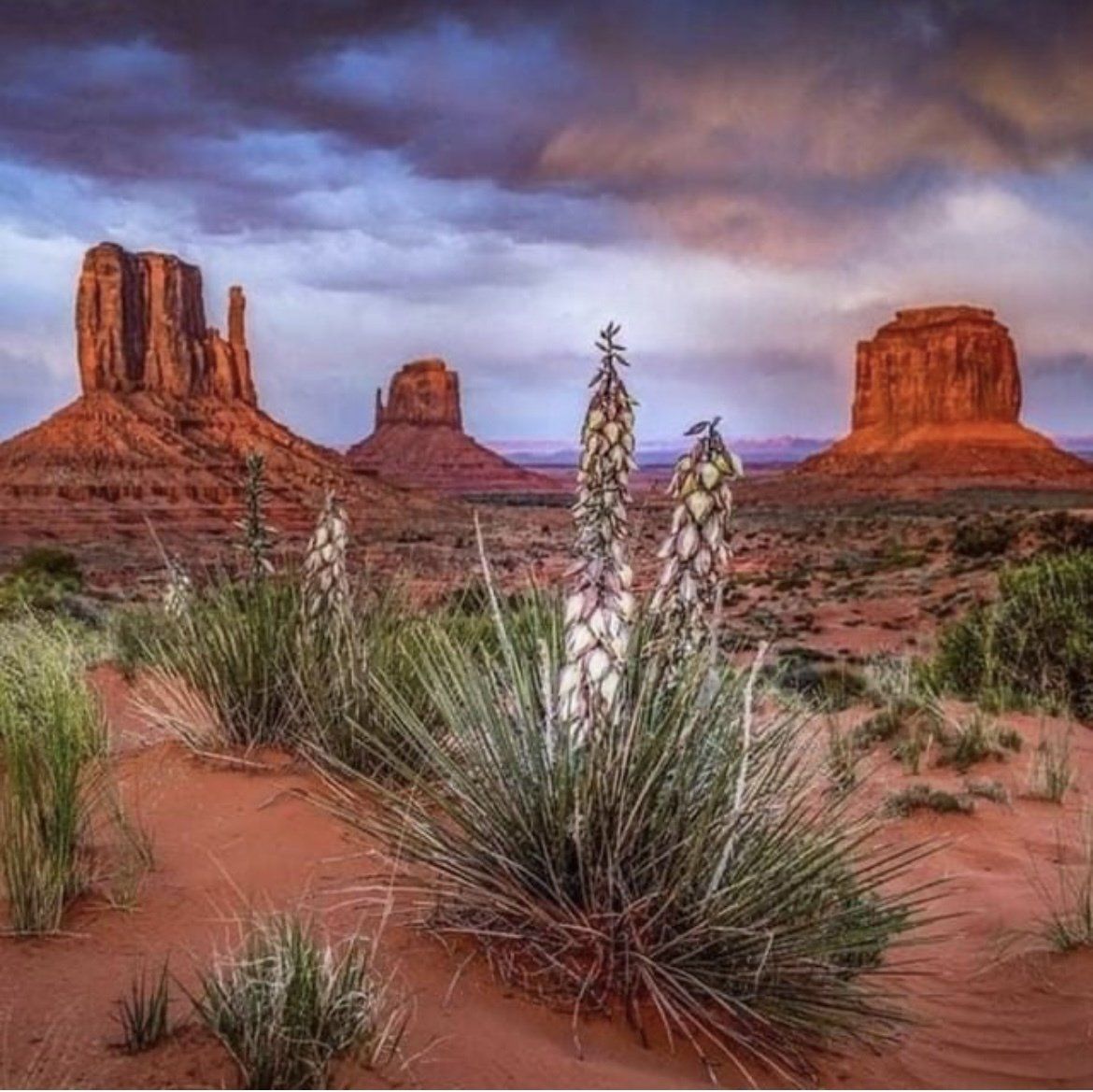 Water in the desert