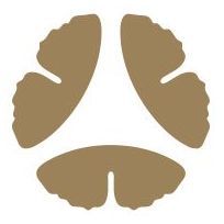 Three tan, stylized butterfly wings forming a triangular shape.
