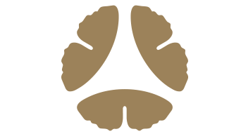 Tan abstract symbol of three stylized ginkgo leaves forming a triangle.