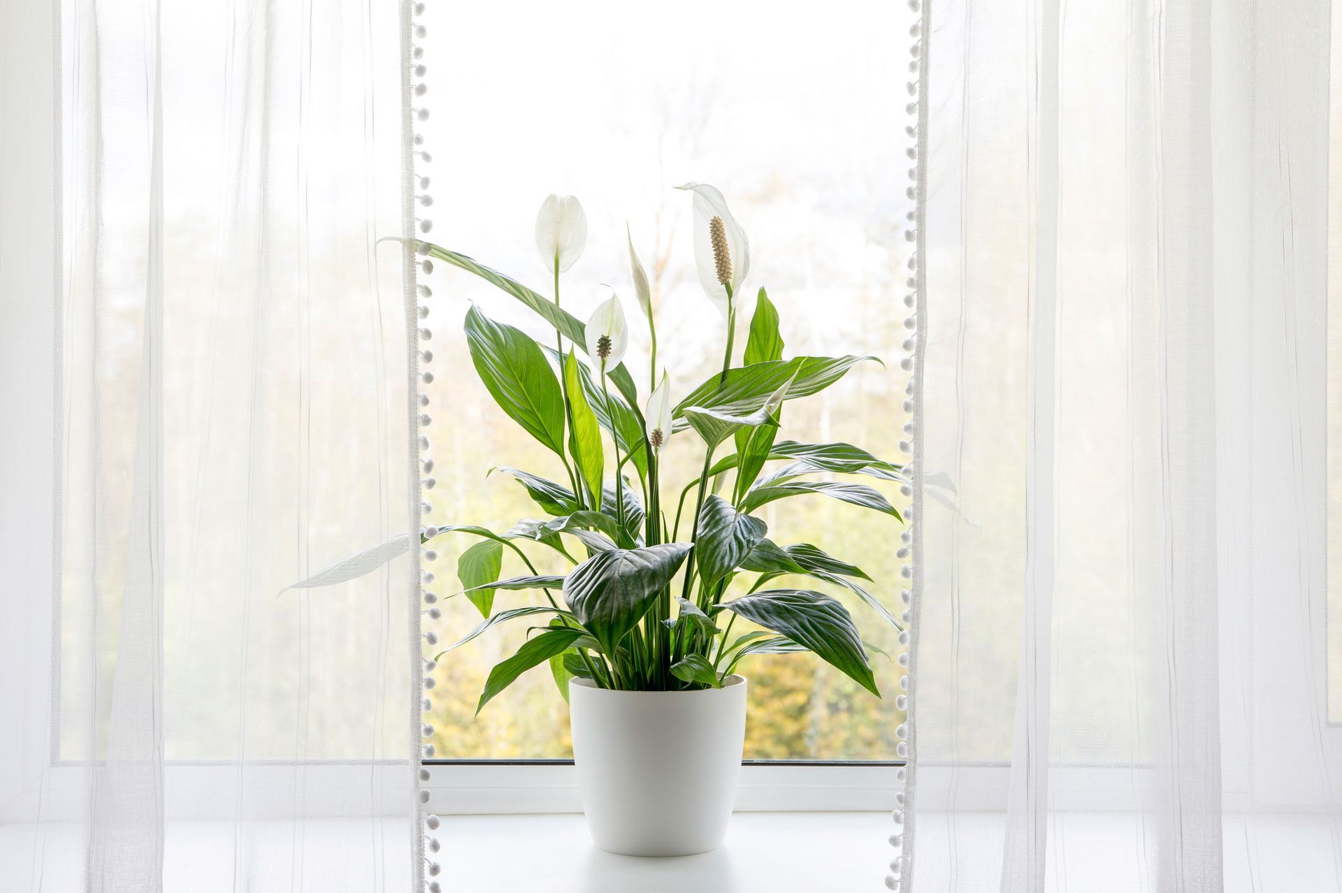 Ventilation — Troy, New York — EARTH SAFE ENVIRONMENTAL