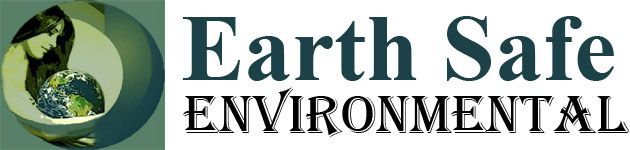 EARTH SAFE ENVIRONMENTAL