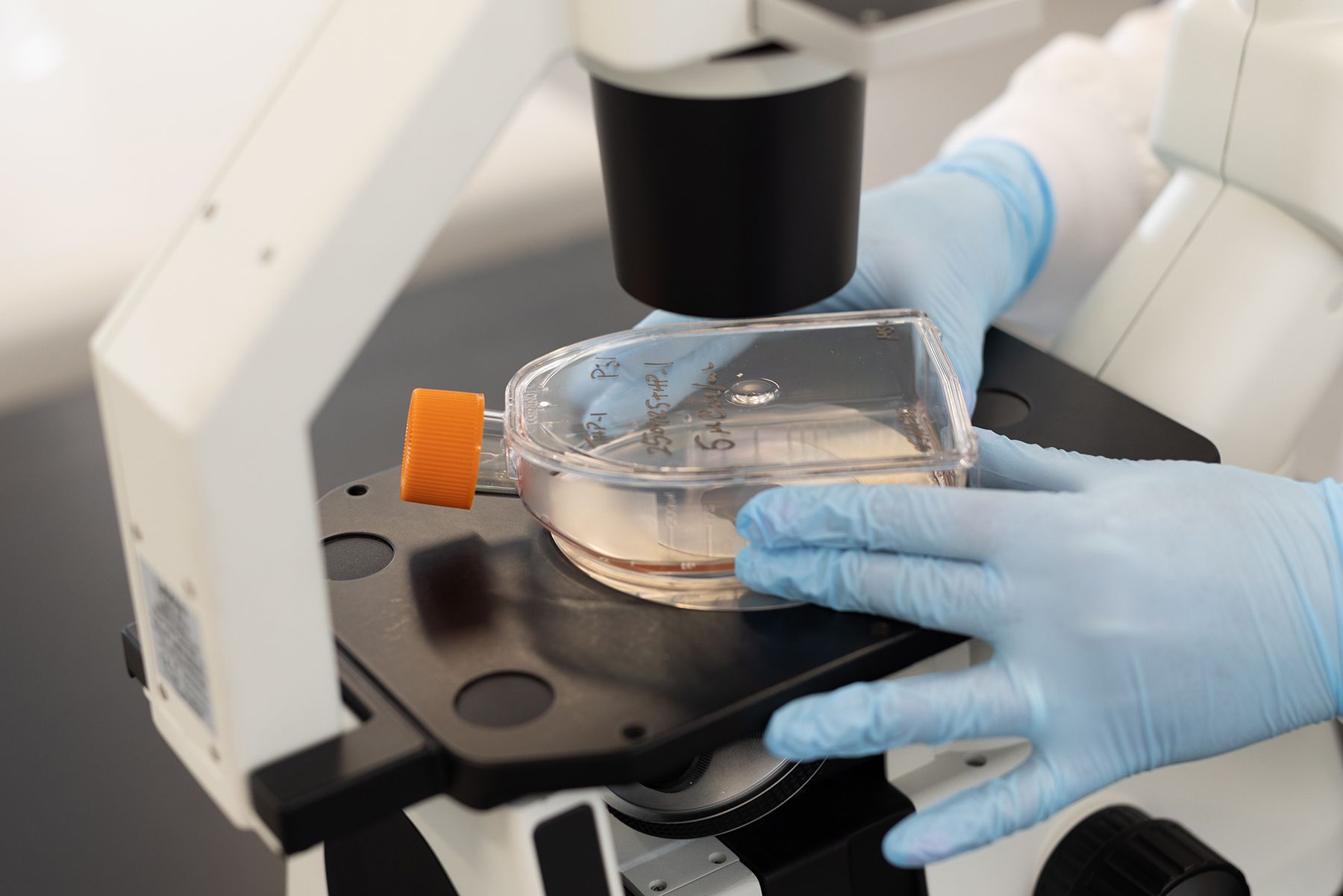 Scientist in blue gloves examines a clear liquid in a flask under a microscope.
