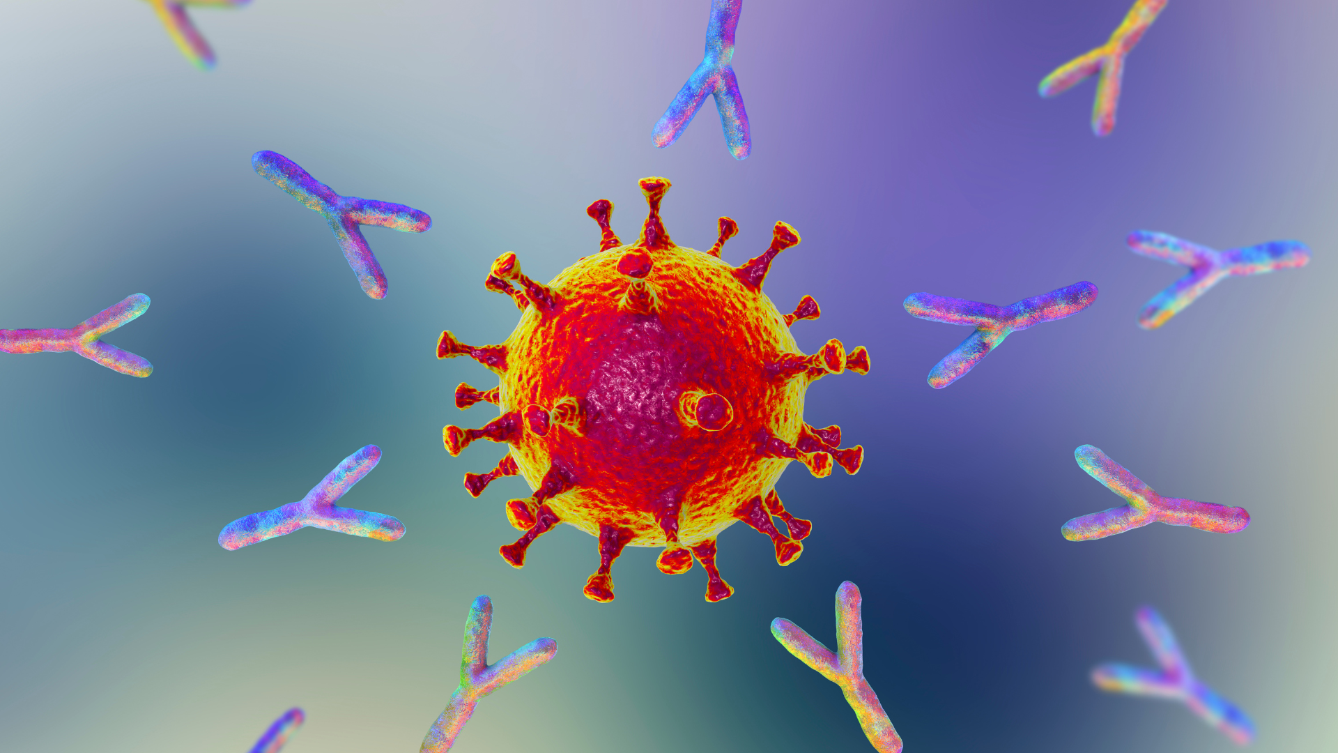 A virus surrounded by Y-shaped antibodies.