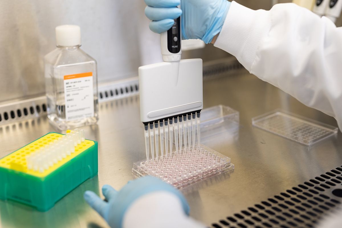 Scientist in a lab coats using a multi-channel pipette to dispense liquid into a 96-well plate.