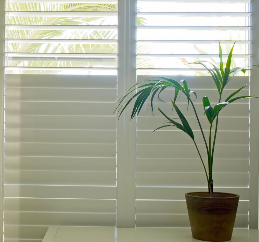 White Plantation Shutters On A Window — Ulladulla Blinds & Home Improvements In Ulladulla, NSW