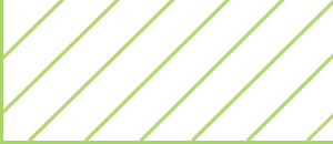White background with diagonal light green stripes and border lines