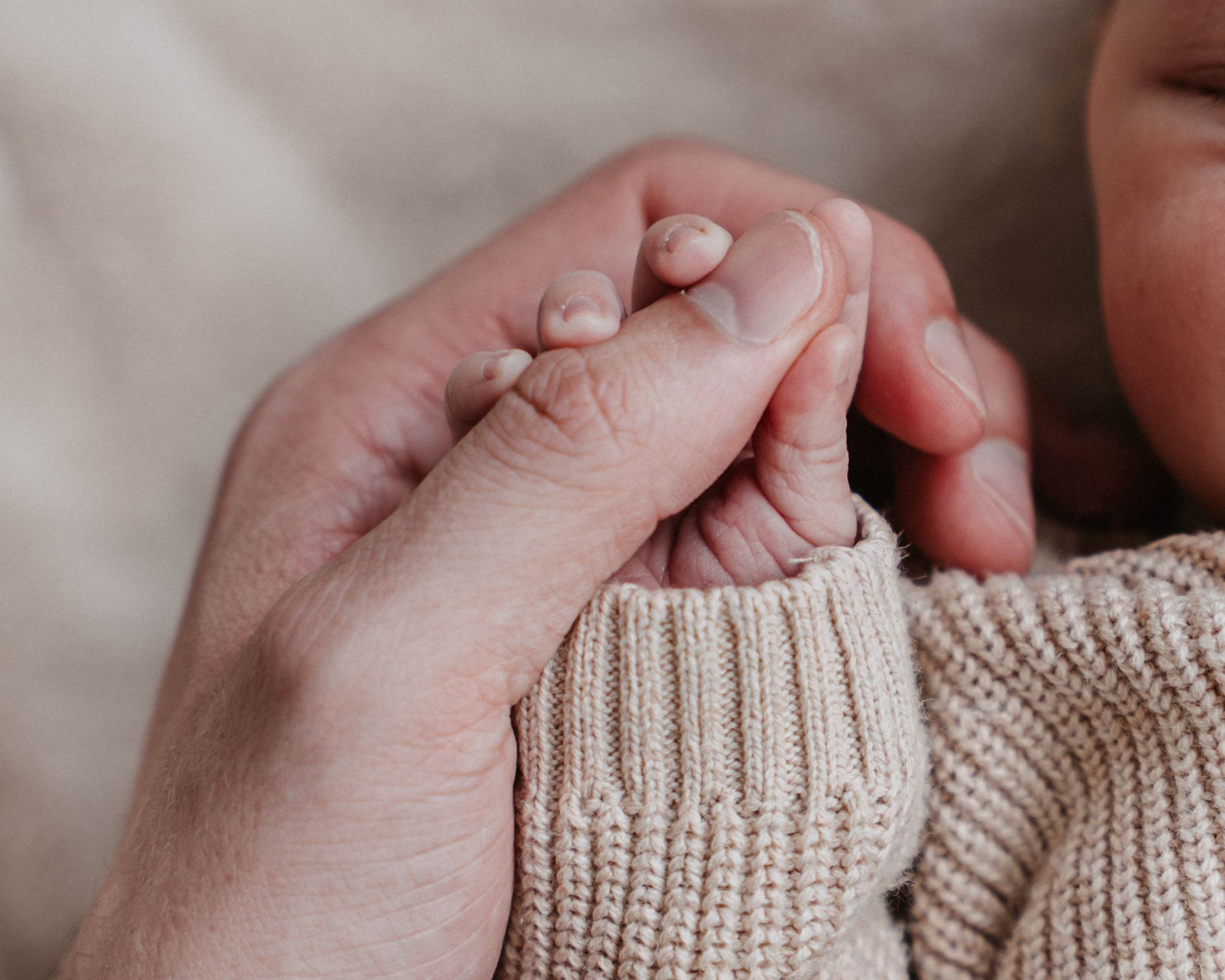 Newbornshoot Zeeland