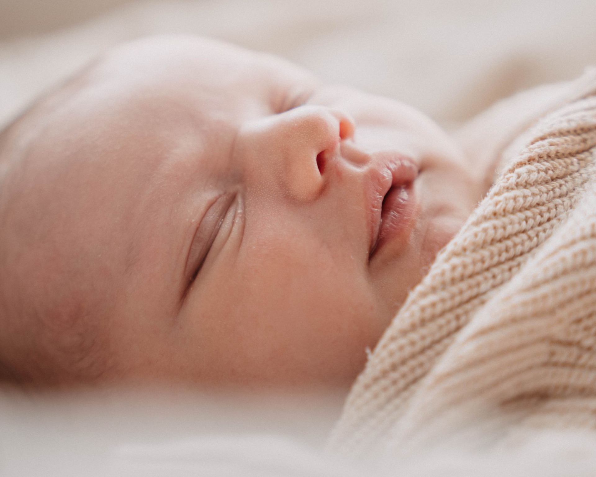 Newbornshoot  Zeeland