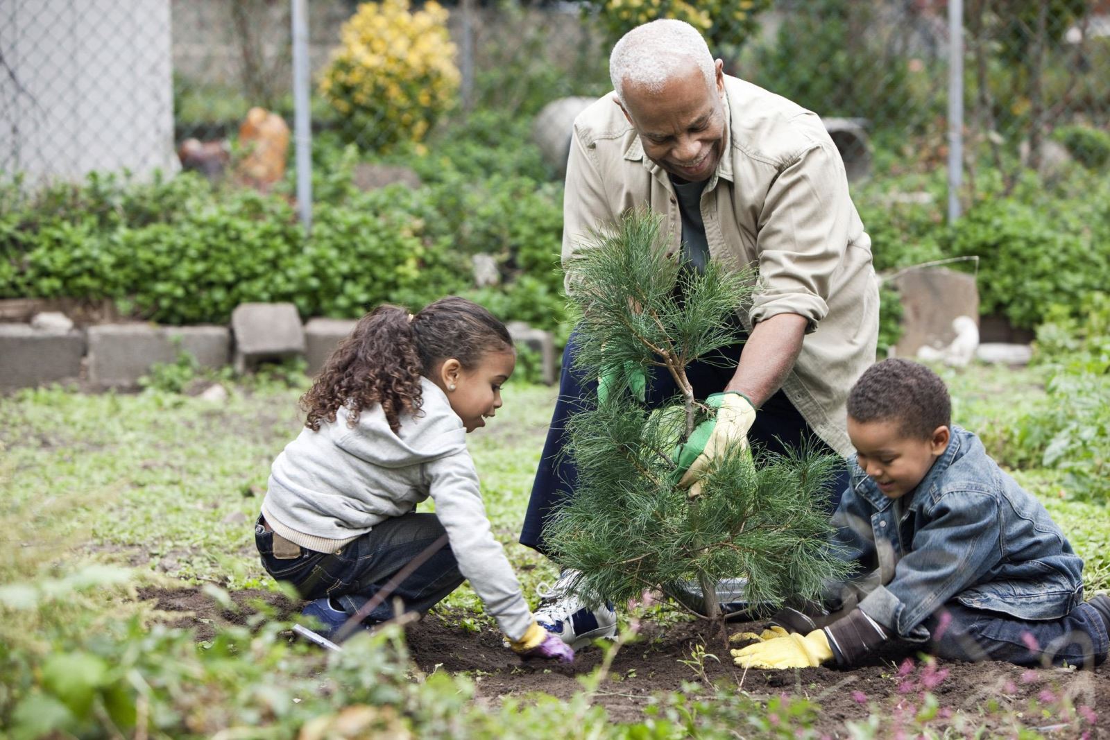 Man with two children planting a tree in a garden.