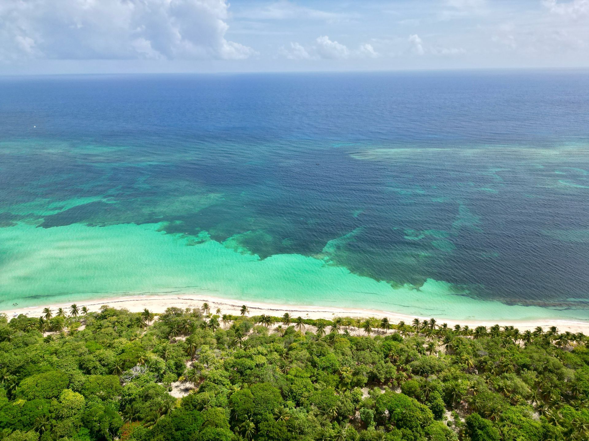 Camp Bay Beach