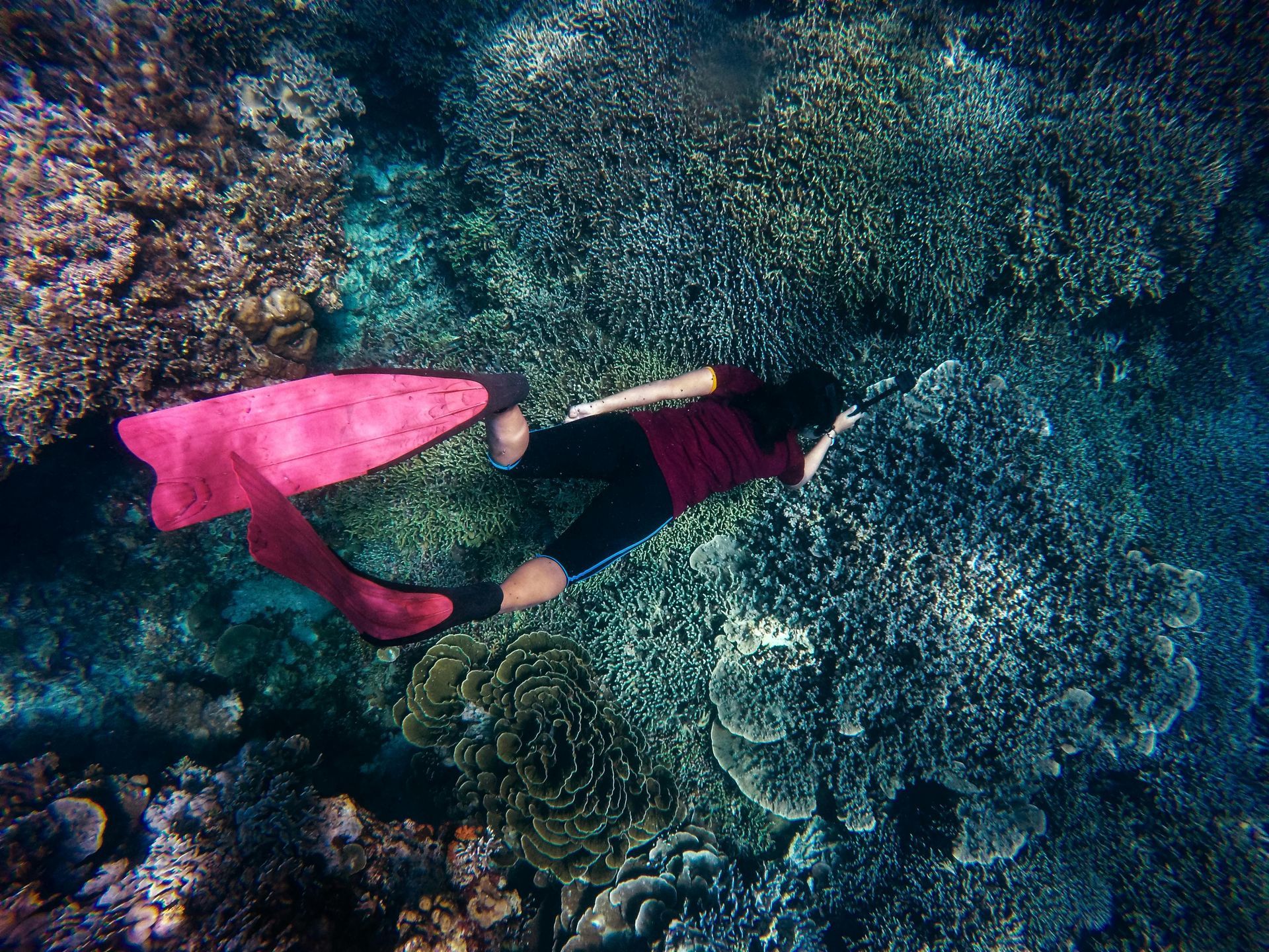 A snorkeler on the reef