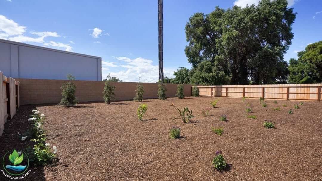 Small landscaped backyard with young plants, mulch, a tan fence, and a tree under a blue sky.