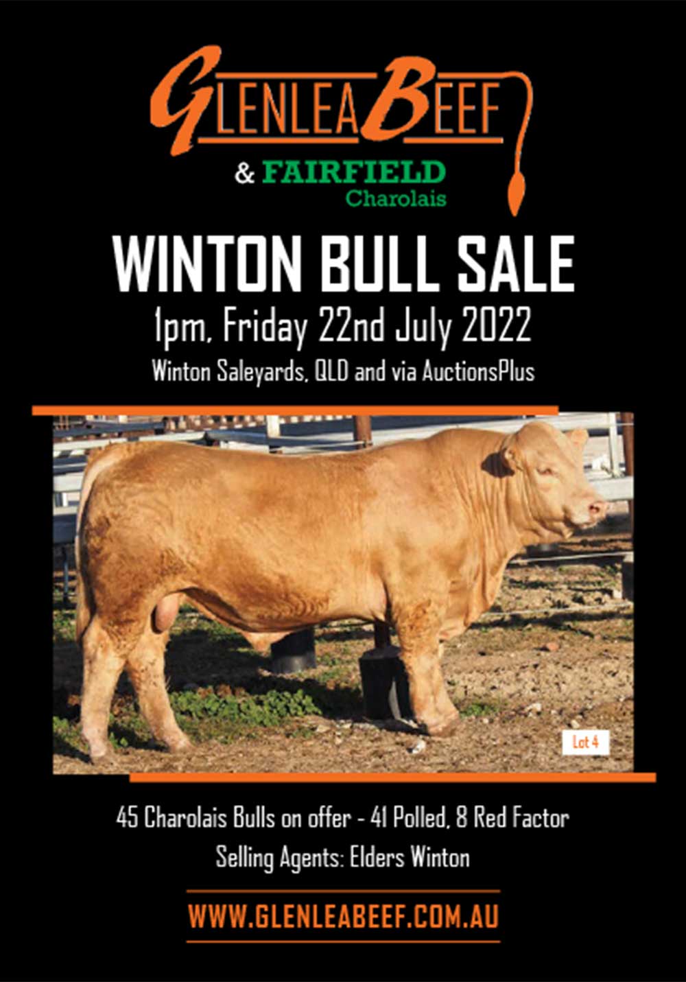 Glenlea Beef NSW & QLD Stock For Sale