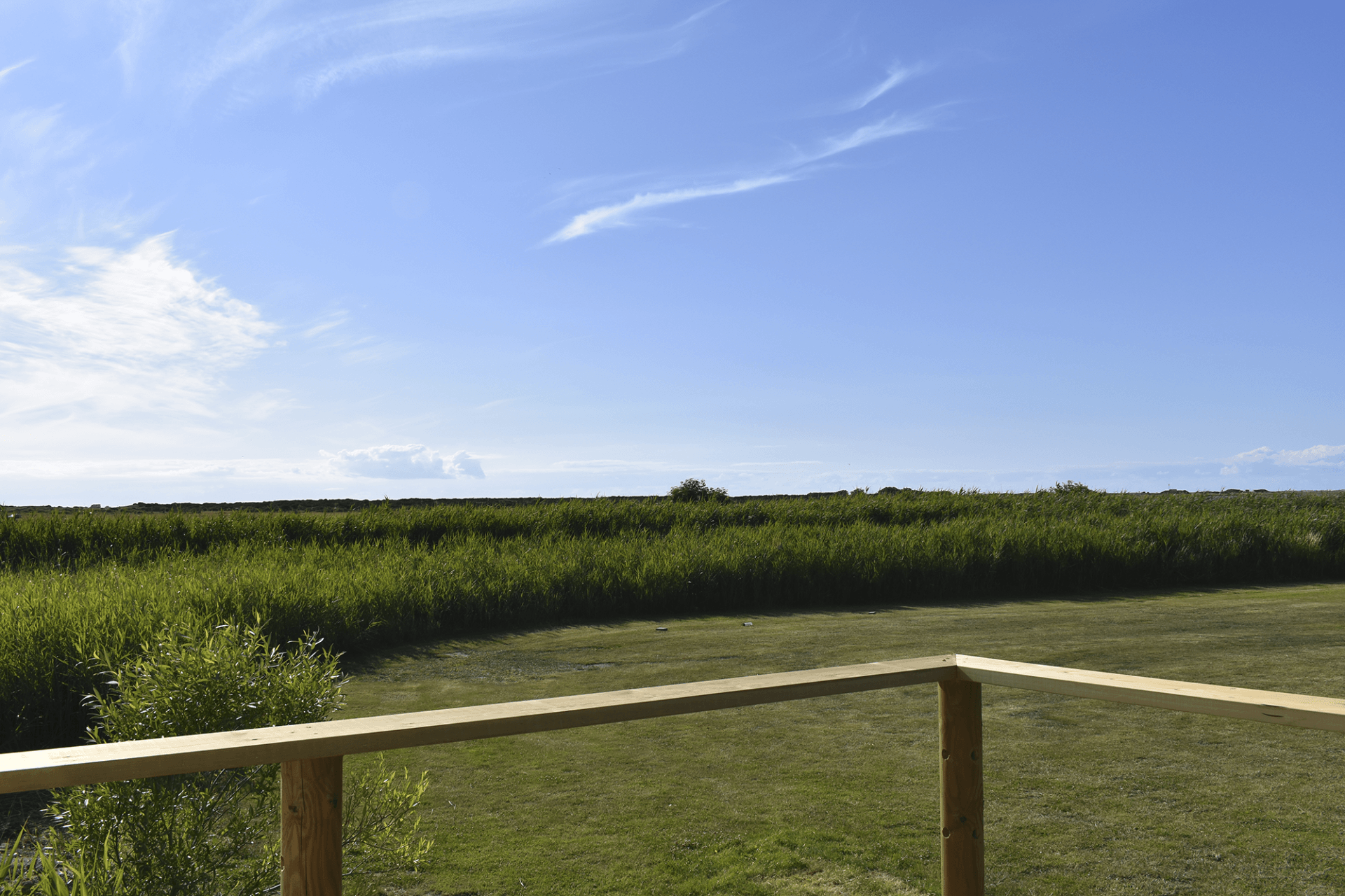 Uitzicht vanuit een luxe glamping-tent voor een ontspannen vakantie in de natuur.