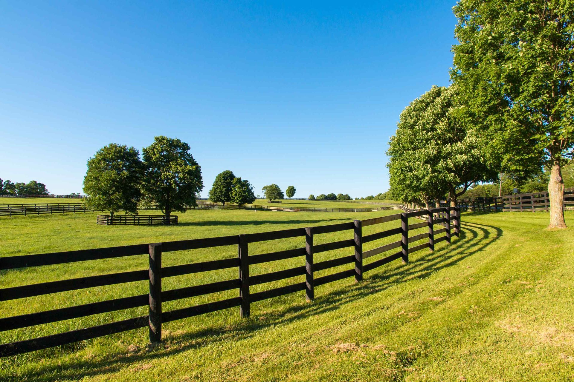 A wooden fence surrounds a grassy field with trees in the background.