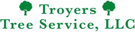 Logo for