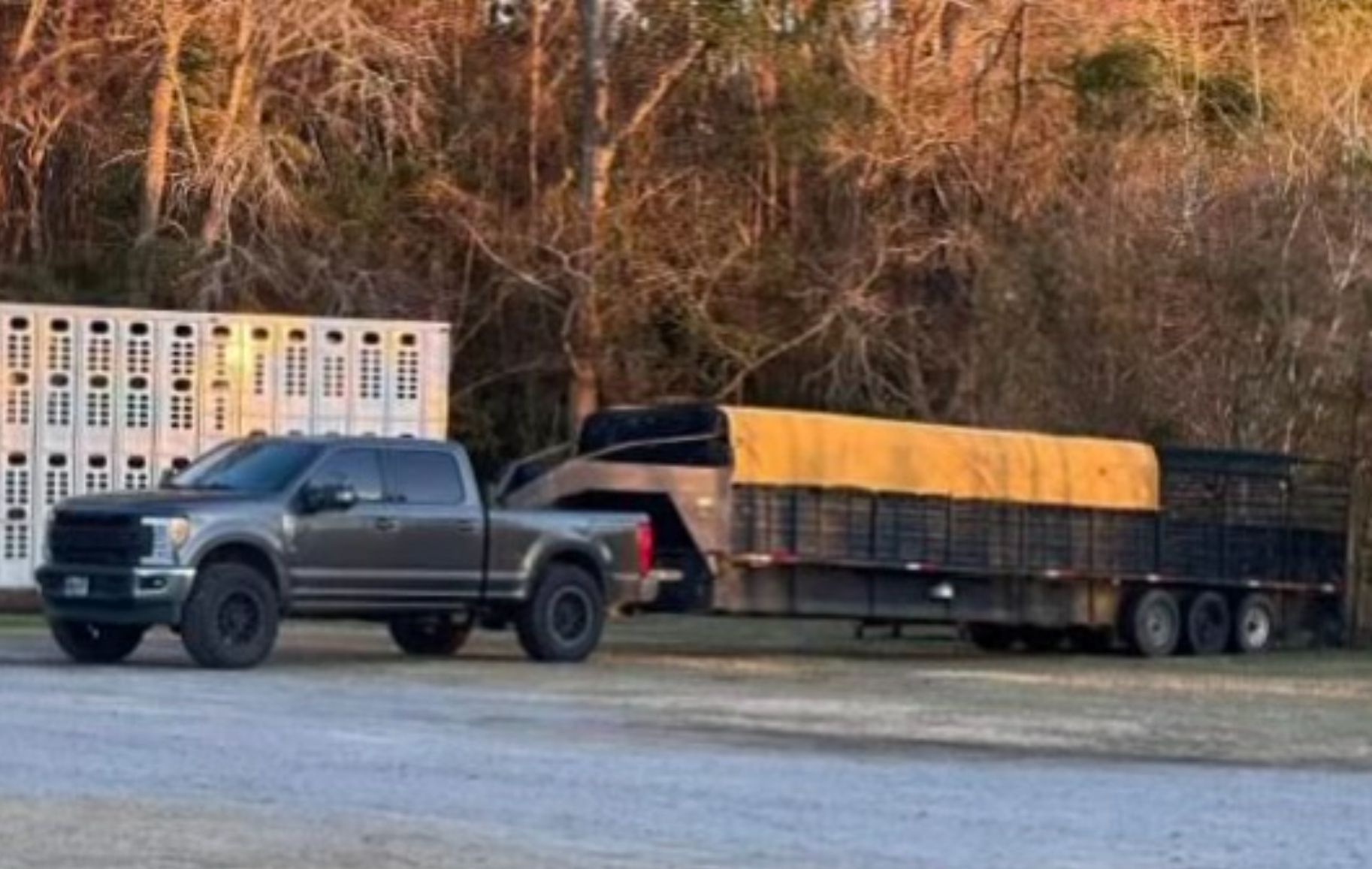 A dark gray truck is parked on the side of the road with a cattle trailer hooked to the back