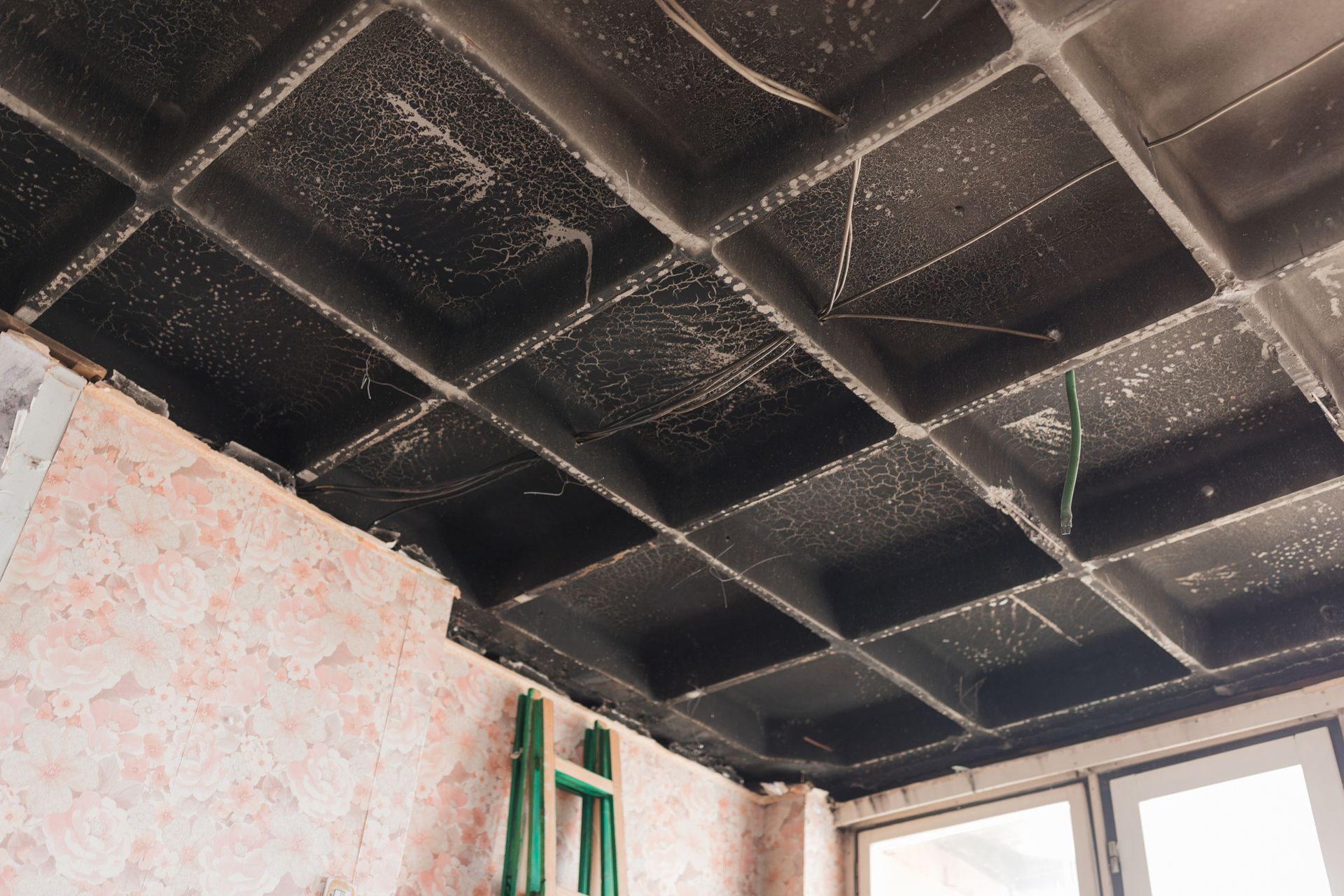 A room with a tiled ceiling and a green ladder.