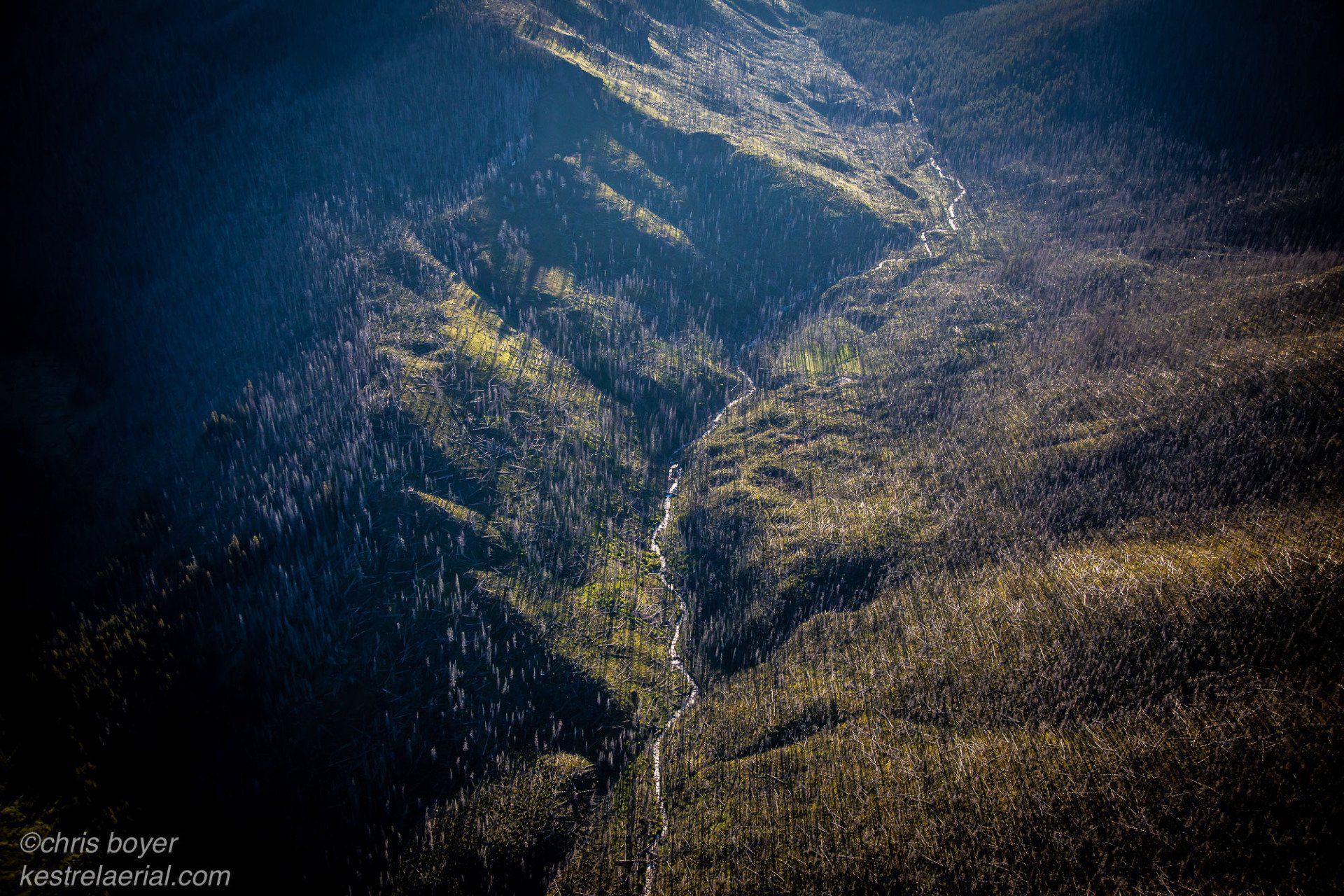 Specimen Creek, Yellowstone National Park