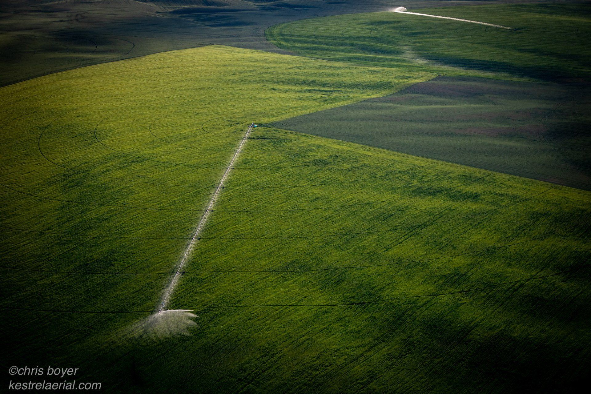 Irrigation